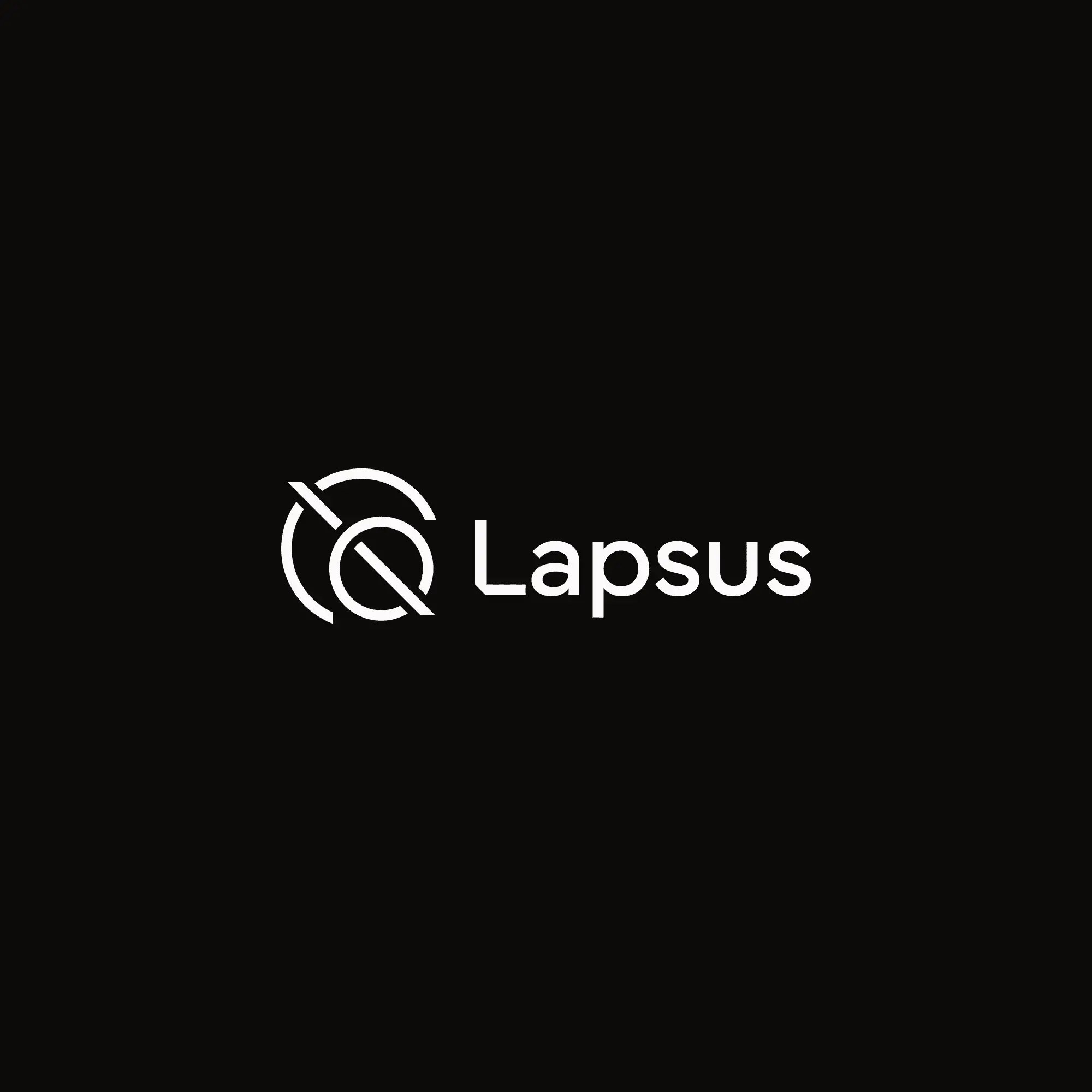 Système visuel Lapsus